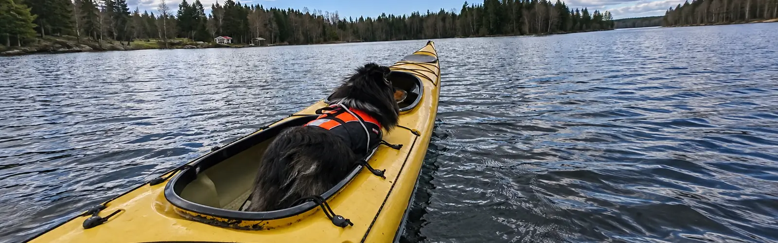 Hunden Zelda i flytväst i kajakens främre sittbrunn på en skogssjö